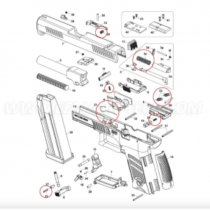 Eemann Tech Springs Set for CZ P-10