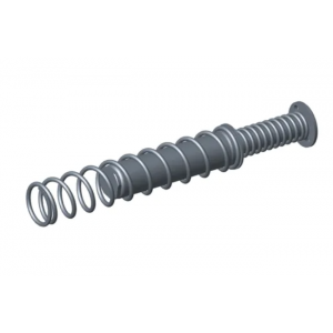 Recoil spring. CZ P-10S