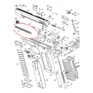 CZ Recoil Spring - Shadow 2