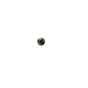 Screw for adjustable rear sight