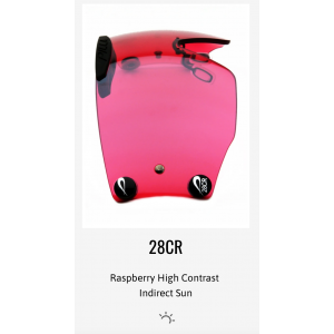 Lenses Pilla Outlaw X6